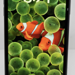 iphone-11-64gb-libre-de-fabrica-color-negro-oled-2026071300013